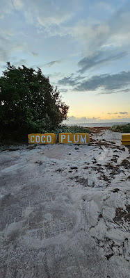 Coco Plum Beach