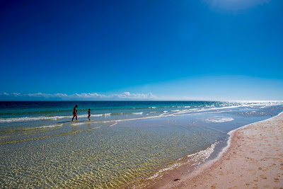 Sandspur Beach, Florida Keys | 36850 Overseas Hwy, Big Pine Key, FL 33043, United States