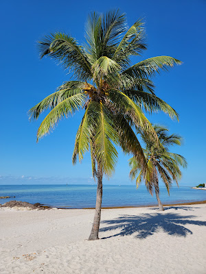 Smathers Beach, Florida Keys | 2601 S Roosevelt Blvd, Key West, FL 33040, United States