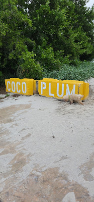 Coco Plum Beach
