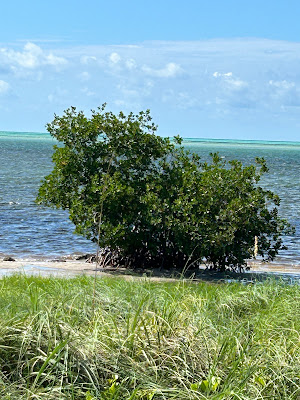 Curry Hammock State Park