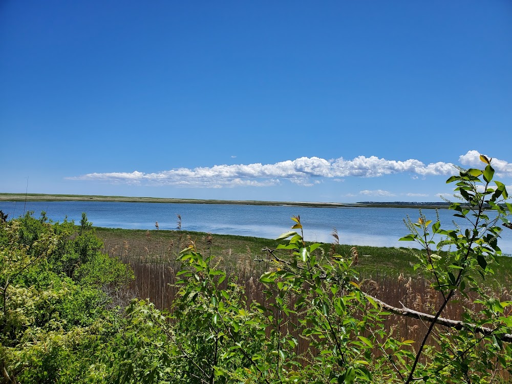 Coast Guard Beach, Cape Cod, MA