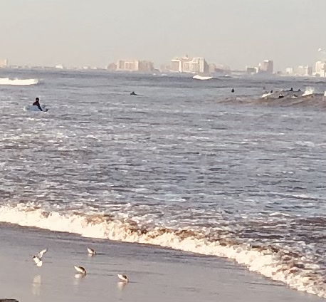 Ocean City, NJ