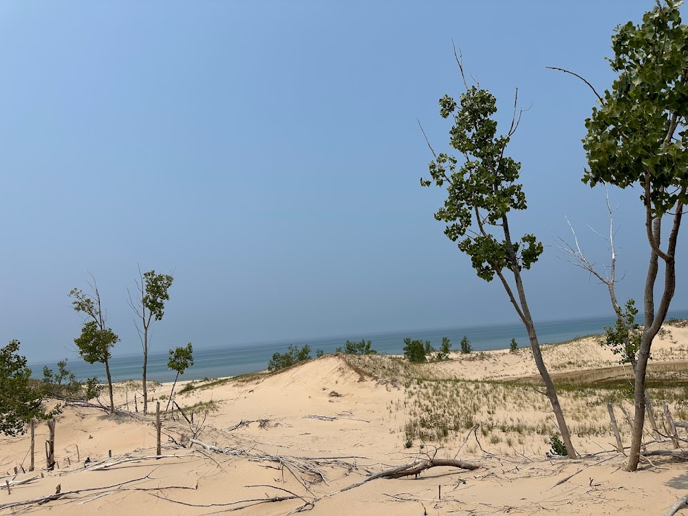 Silver Lake Sand Dunes Area