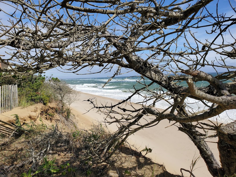 Wellfleet Beaches