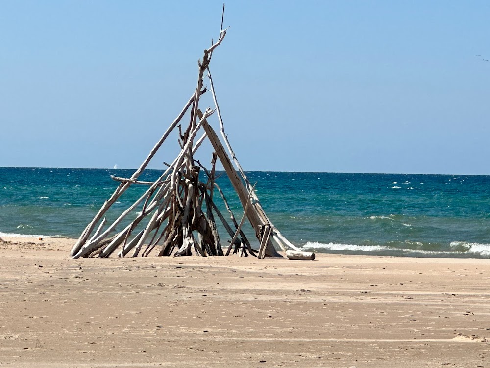 Silver Lake Sand Dunes Area