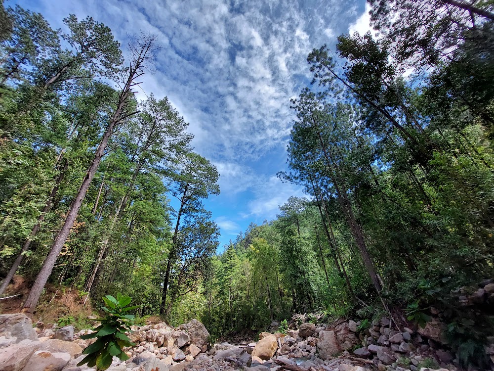 Celaque National Park