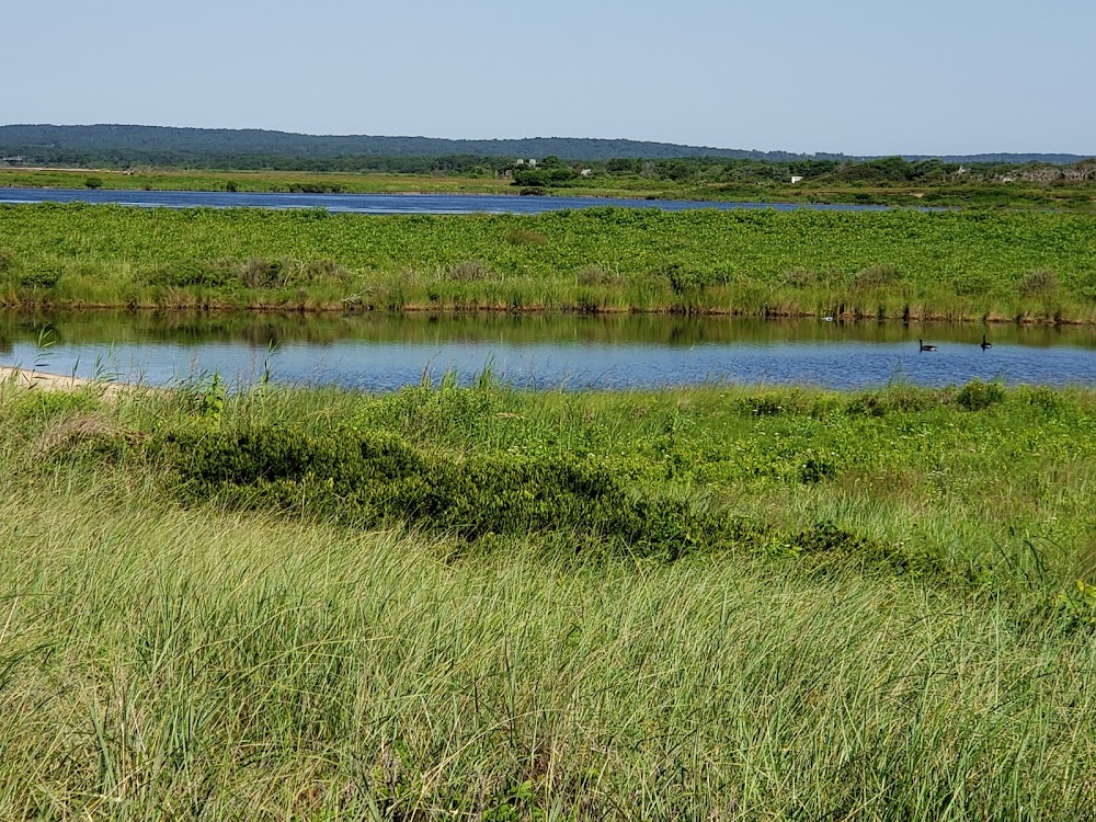 Long Point Beach